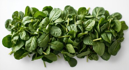 Whirling cluster of green spinach leaves with white plain background