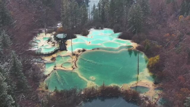 Aerial View of Logs Submerged in Turquoise Lake and Calcification pool