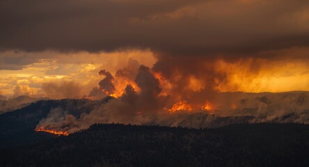 Fototapeta premium Rising smoke from a rapidly spreading forest fire