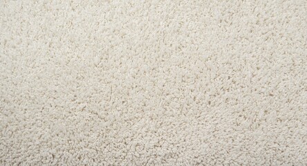 white soft plush shag carpet textile texture background with ample copy space