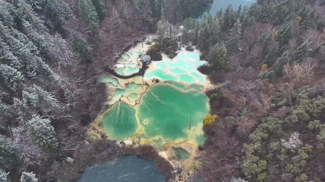 Aerial View of Logs Submerged in Turquoise Lake and Calcification pool