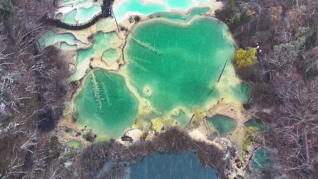 Aerial View of Logs Submerged in Turquoise Lake and Calcification pool