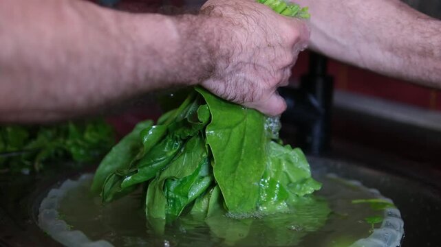 The process of washing and stewing spinach: wash men's hands under water, cut into pieces, throw in a frying pan, stir, prepare for freezing, make spinach pie