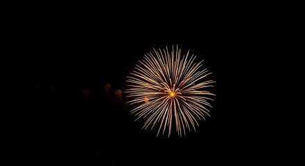 Fototapeta premium Fireworks display