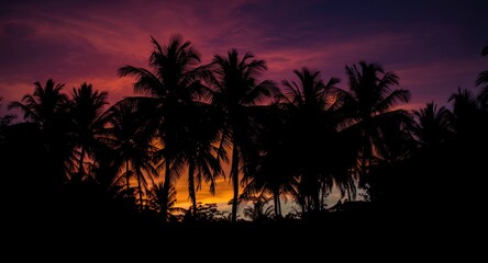 Palm tree silhouettes encased in vivid tropical sunset colors