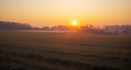 Mellow pastoral land with vintage charm and warm sunrise