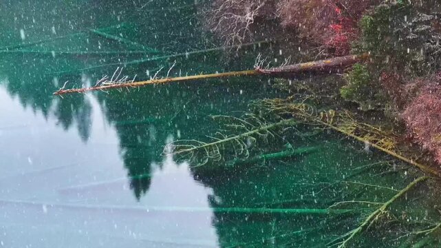 Aerial View of Logs Submerged in Turquoise Lake and Calcification pool
