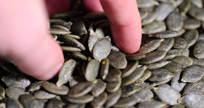 peeled large green and dried pumpkin seeds on the table, a large number of pumpkin seeds dried and ready for cooking, close up