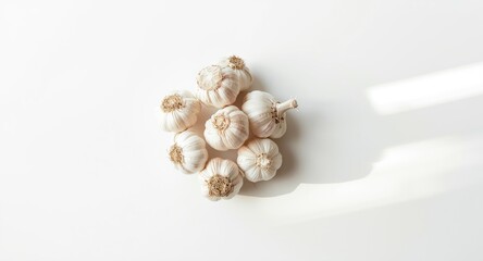 organic garlic heads placed neatly on white surface with clear copy space