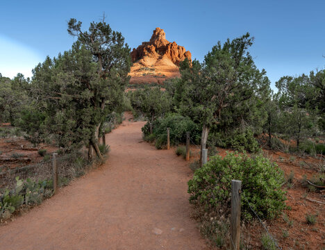 View of a sandy path winding through lush green trees towards a majestic red rock formation under a clear blue sky, Sedona, Arizona, United States.