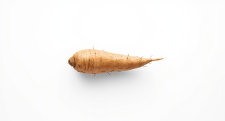 Fototapeta premium Whole yam vegetable presented on white plain surface with copy space