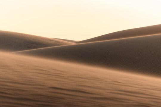 View of windswept dunes casting long shadows under a pale sky, the desert's subtle textures painted in hues of brown and gold, Da'ira, Socotra, Yemen.
