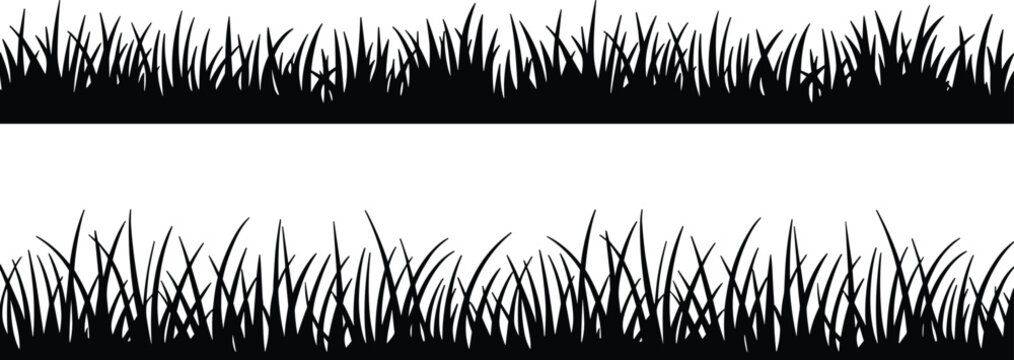 Grass silhouette borders collection, nature foliage vector illustration, decorative landscape design elements, botanical outline artwork, garden divider graphics, wild grass frame
