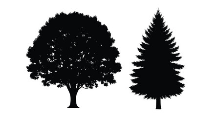 Silhouettes of a deciduous and coniferous tree against a white background © Tm Studio