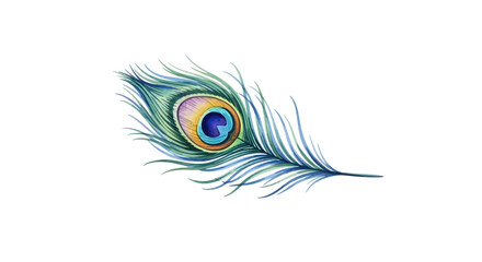 Obraz premium A single peacock feather illustration with vibrant colors and delicate details on a simple background