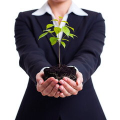 Business person in suit holding small green plant seedling in cupped hands on white background