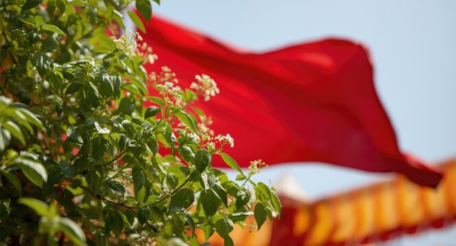 Summer festival colors with Manjerico basil plant and red flag detail