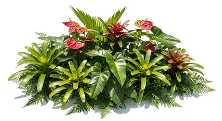 Tropical Plant Arrangement With Bromeliads