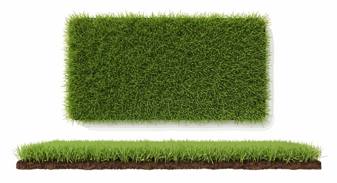 Vibrant Green Grass Patches with Soil Cross-Section on Clean White Background