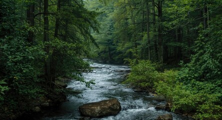 Obraz premium peaceful forest river twisting through dense trees