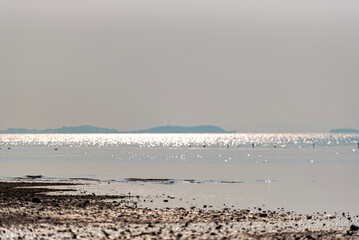 아름다운 서해안의 풍경