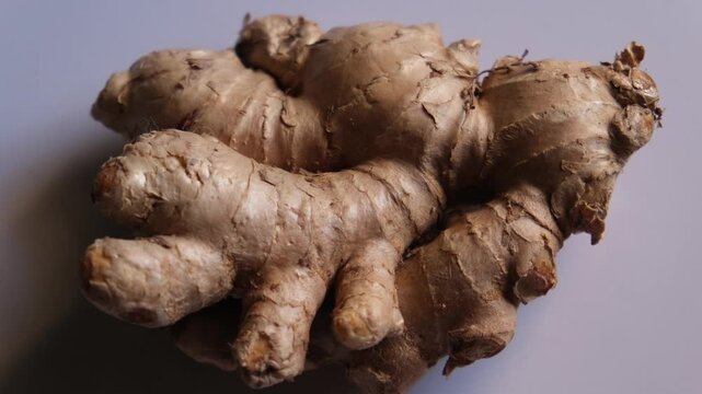 Close-up of a fresh organic ginger root on a plain background