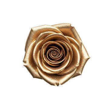 A single, isolated, partially bloomed rose featuring luminous 24k metallic gold petals with a velvety texture, perfectly centered on a transparent background, showcasing rare and precious beauty