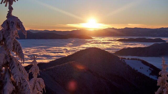 Time lapse view through snowy pine trees over cloud inversion and golden sunrise