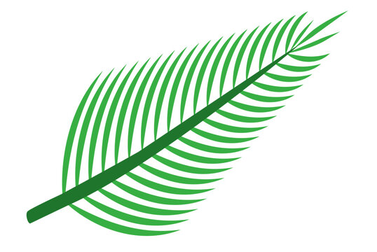 Palm Tree Branch  or Grass illustration artwork