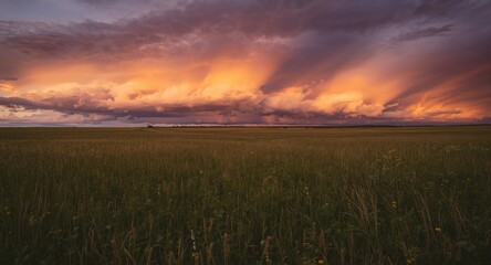 Obraz premium dramatic golden hour clouds enhancing a broad field landscape