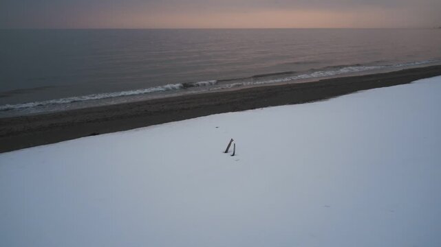 波打ち際の雪原と流木