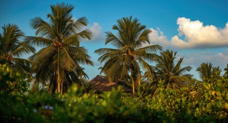 Peaceful tropical dwelling surrounded by waving palm trees
