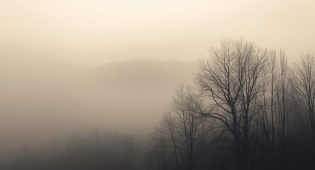 Obraz premium Foggy woodland scene with minimalist silhouettes of leafless trees ideal for wallpaper
