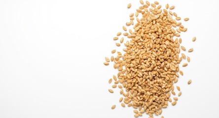 Fresh spelt grains evenly dispersed across a neutral white backdrop