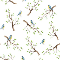 Spring seamless patterns with branch, leaves and blue tit perche. Watercolor titmouse, easter hand drawn illustration isolated on background, transparent png. Botanical and wedding clip art. For © Natalia