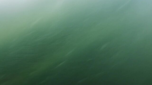 Green landscape with foggy atmosphere.