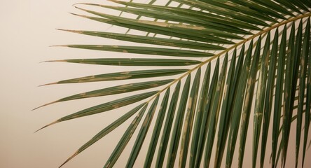 Fototapeta premium vibrant palm leaf textured background with ample copy space for travel articles