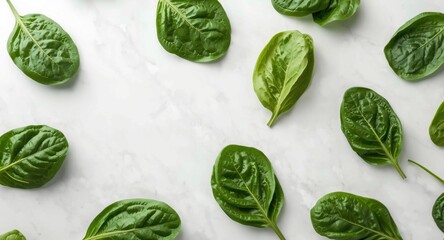 Obraz premium Freshly picked spinach leaves placed on a clean white surface