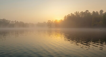 Obraz premium Morning sunrise casting golden light over a serene lake with misty atmosphere