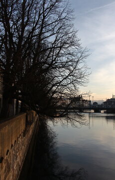 bare winter trees hanging over calm river limmat at dusk zurich