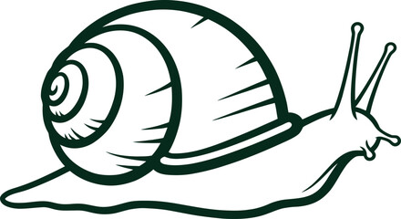 Snail silhouette vector illustration, slow animal symbol, garden mollusk icon, simple nature wildlife graphic isolated on white background © jamiul