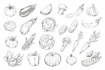 A collection of hand drawn vegetables and fruits in grayscale