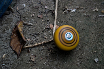 Bangladeshi most popular game Latim.  © Kowsar