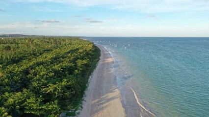 Aerial view of the calm and private beaches of Milagres route with turquoise water, white sand beach, coconut trees and a relaxing landscape. Milagres, Maceio city, Alagoas State, Brazil 