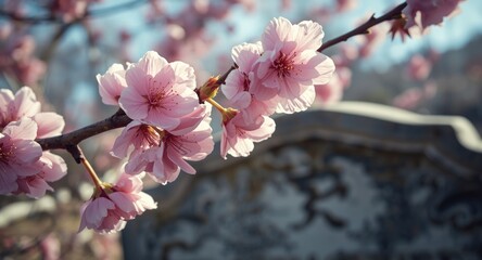 Fototapeta premium Silk blossoms softly blurred over tombstone including copy space