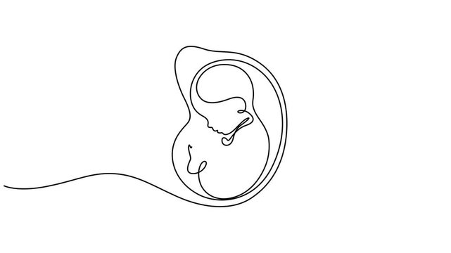Baby embryo in womb one line drawing. Cute unborn fetus baby on mother womb isolated on white background, Animated self drawing of continuous line draw baby in womb fetus symbol logo, baby in womb pro