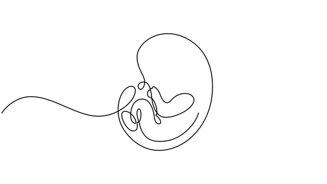 Baby embryo in womb one line drawing. Cute unborn fetus baby on mother womb isolated on white background, Animated self drawing of continuous line draw baby in womb fetus symbol logo, baby in womb pro