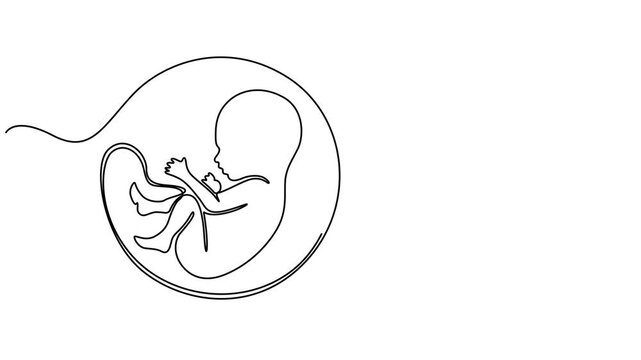 Baby embryo in womb one line drawing. Cute unborn fetus baby on mother womb isolated on white background, Animated self drawing of continuous line draw baby in womb fetus symbol logo, baby in womb pro