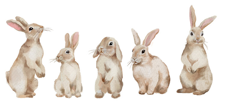 Clip art set of bunnies and chicks. Easter chicks.