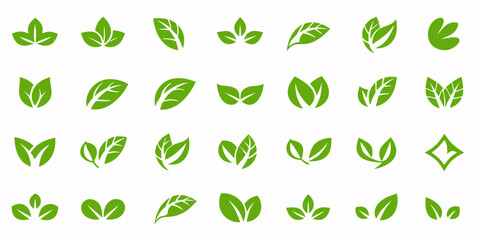 Collection of vibrant green leaf illustrations in various shapes and designs © Shuvra Majumder